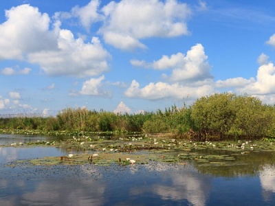 excursie-o-zi-delta-dunarii-4