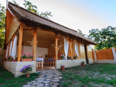 300K_20120625_foisor_005